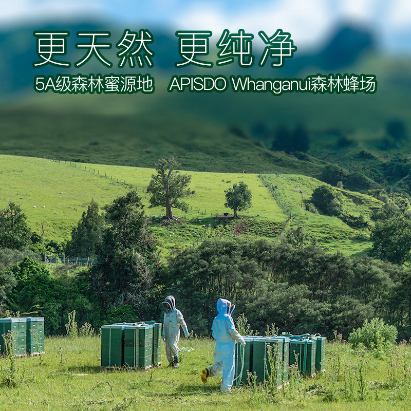 apisdo麦卢卡mgo550新西兰澳洲蜂蜜 apisdo蜂蜜