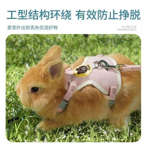 兔子牵引绳溜兔防挣脱牵遛绳子链子宠物小白侏儒兔专用外出绳用品 - 图1