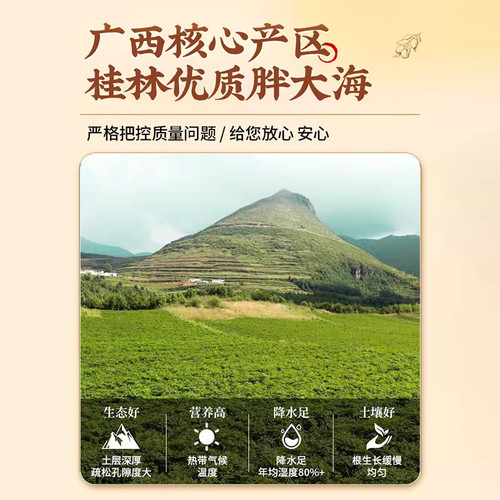 特级胖大海正品旗舰店野生中药材罗汉果金银花菊花甘草泡水煲汤 - 图2