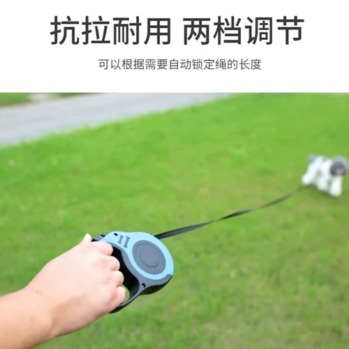 Домашние питомец поставляют Daquan Dog Traction Roy