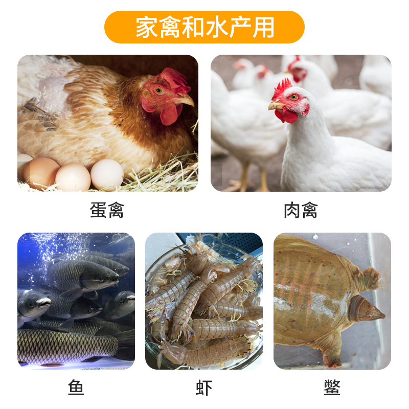 24金维液兽用维生素鸡鸭鹅蛋禽用电解多维猪水产用饲料添加剂-图1