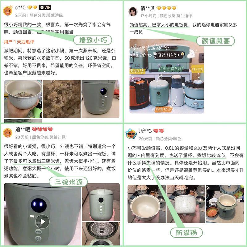 韩国大宇0.8升迷你小型家用电饭煲 大宇尚居电饭煲