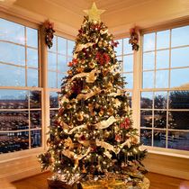 2023 new Christmas tree encrypted Fat automatic tree bare tree 1 9 2 2 2 2 5 m Large Christmas decorations