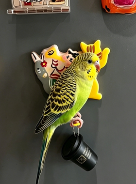 停鸡位！猫咪冰箱贴鹦鹉
