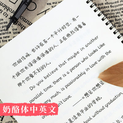 奶酪陷阱体中英文练字帖初学者高中生衡水体专用楷书成年手写男女生字体网红漂亮清秀文艺古风练字本大人学生硬笔书法速成钢笔字帖 虎窝淘