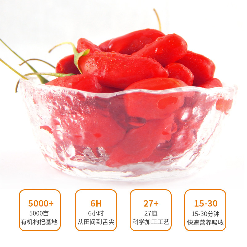 启玉原浆汁宁夏鲜果汁中宁枸杞原浆 启玉枸杞原浆/枸杞制品