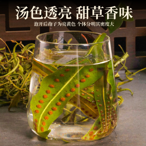 长白山黄金草肾精草泡水养生茶甄选小叶袍子多高品质干货泡水喝 - 图2