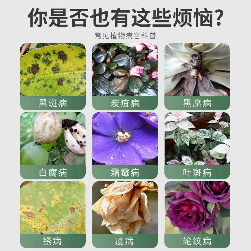 贝可施叶康灵植物病菌清抑菌免稀释营养液枯叶干尖杀菌旗舰店预防,淘宝优惠券,粉丝福利购,淘宝优惠卷