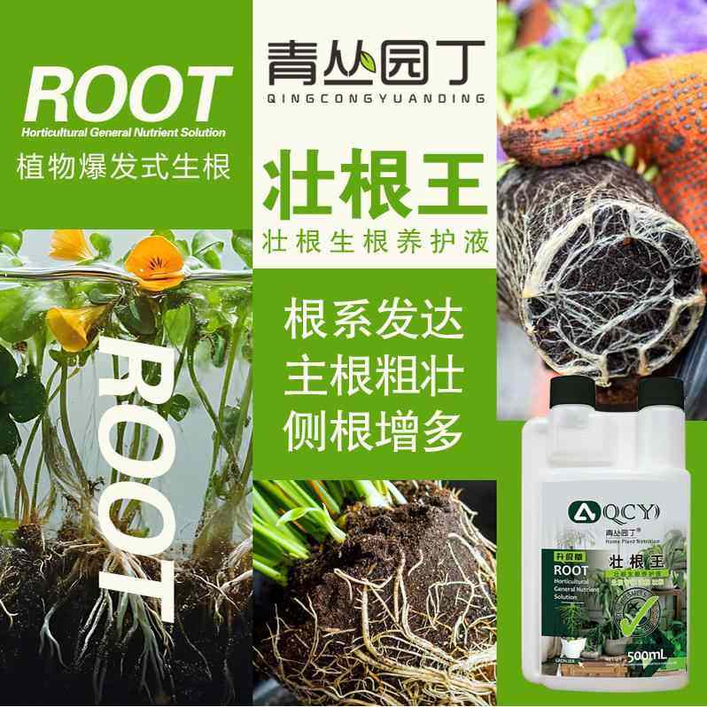 青丛园丁壮根王养护液生根壮根养根护根爆发生根激发活力农资园艺,淘宝优惠券,粉丝福利购,淘宝优惠卷