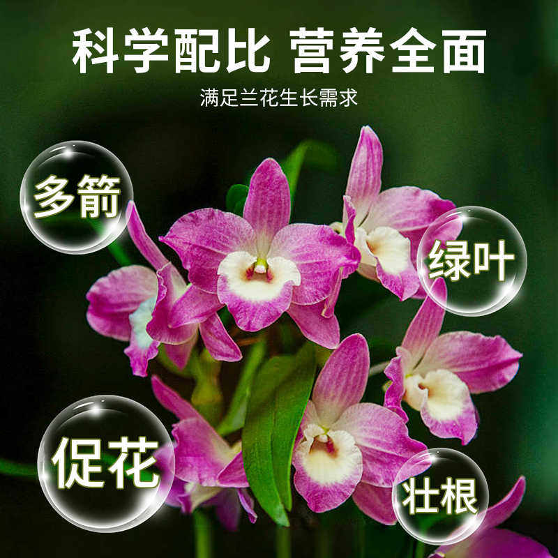 贝可施多箭素兰花专用菌肥料营养液兰灵王蝴蝶兰开花促兰花爆芽素,淘宝优惠券,粉丝福利购,淘宝优惠卷