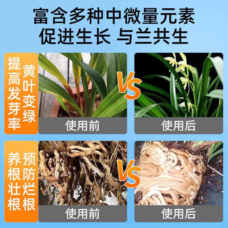 贝可施多箭素兰花专用菌肥料营养液兰灵王蝴蝶兰开花促兰花爆芽素,淘宝优惠券,粉丝福利购,淘宝优惠卷