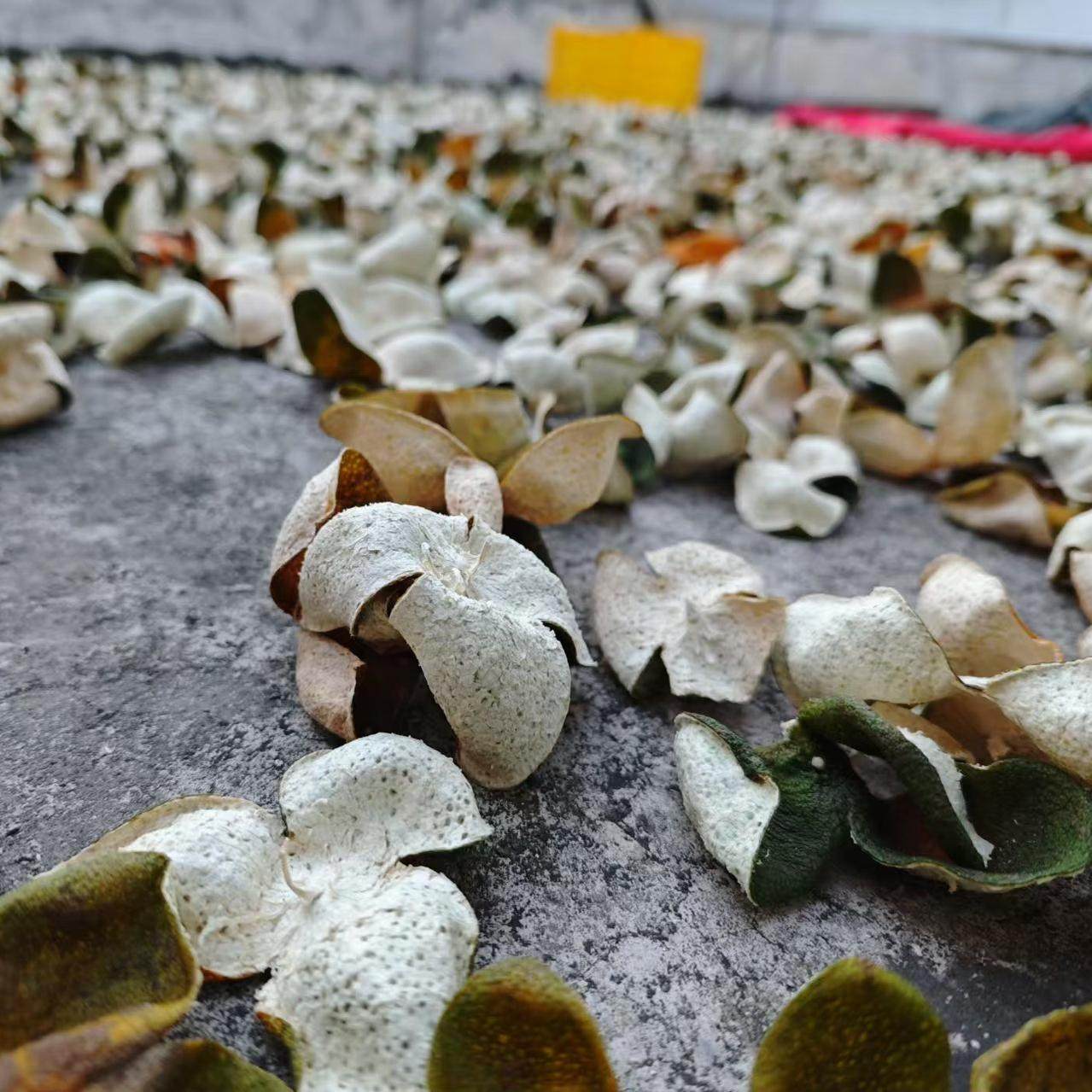 正宗新会陈皮24年原枝大红皮二红皮农户自种自摘自晒自存产地新会,淘宝优惠券,粉丝福利购,淘宝优惠卷