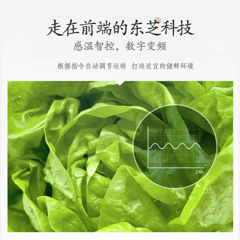 东芝415l rm436 东芝驰美微波炉