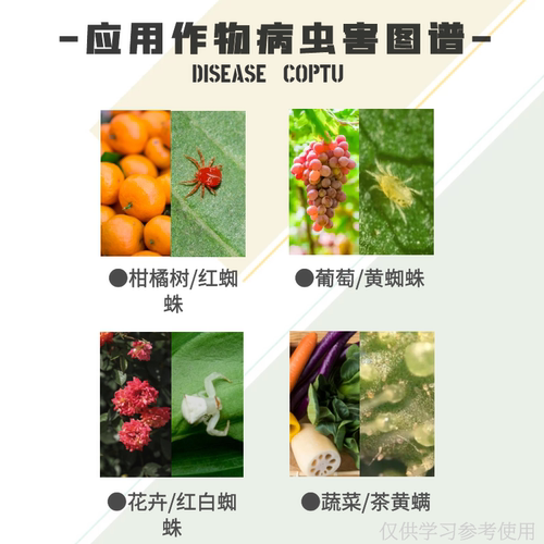 永农 克锣顿克罗顿 27%哒螨螺螨酯哒螨灵 柑橘抗性红蜘蛛杀虫剂 - 图2
