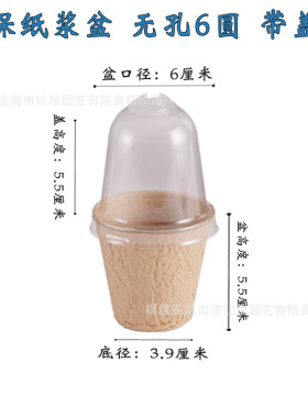 纸浆育苗杯圆形花盆可降解育苗钵培育花盆定植盆苗圃营养杯