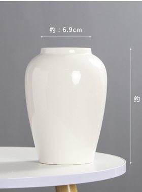 极简北欧风白色陶瓷花瓶客厅家居装饰品创意摆件餐桌摆设现代简约