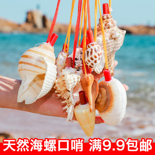天然海螺号角可吹响超大哨子喇叭贝壳口哨工艺品儿童玩具小螺号 - 图0