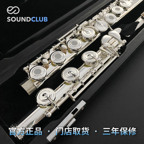笛赵 DIZHAO DZ-602/802 银头/纯银美系手工长笛专业进阶声音汇 - 图3