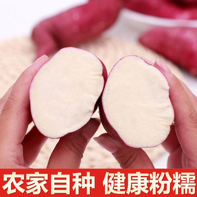 白心新鲜农家自种沙地地瓜10斤板栗 刘老喜番薯