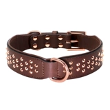 Анти -нямно -собачья воротнич