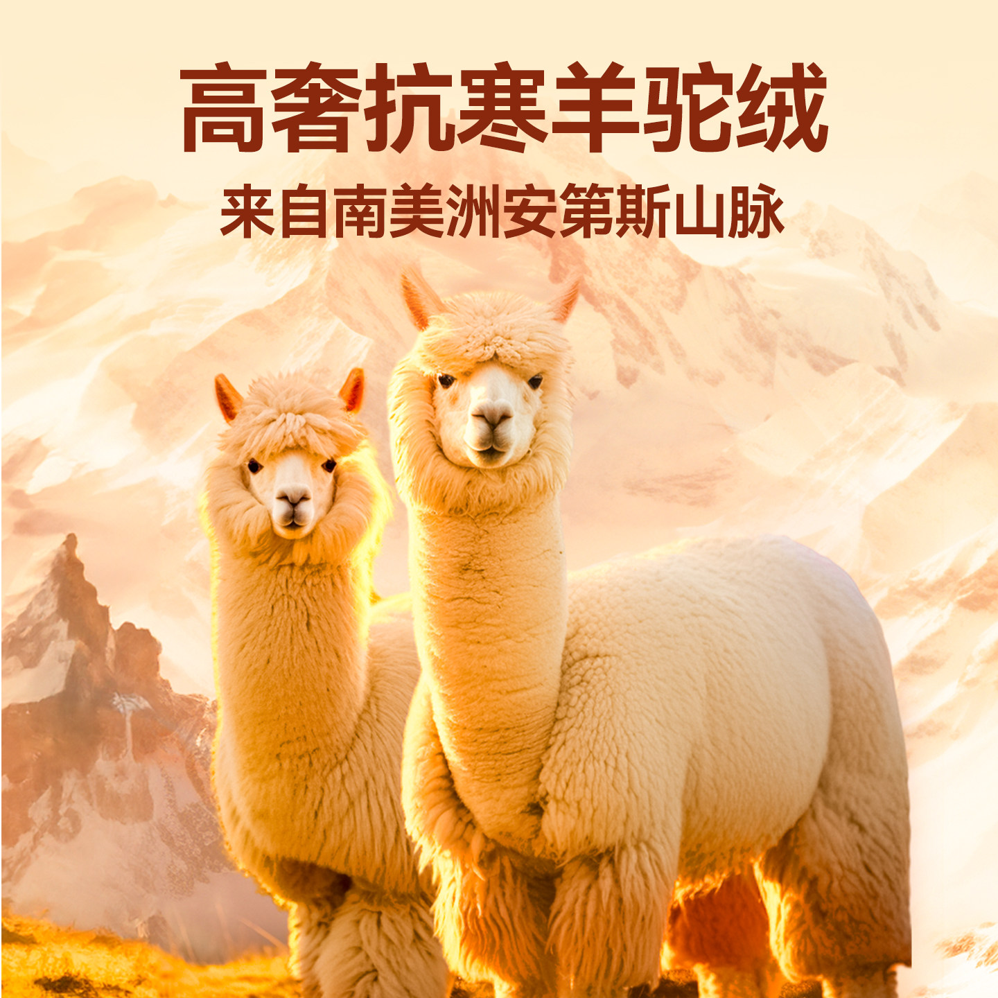 素材图