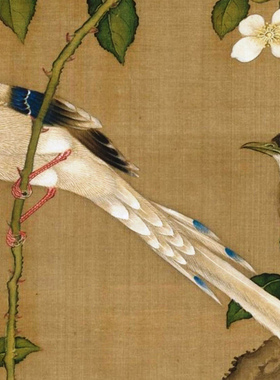 清 沈铨 花鸟图立轴客厅玄关装饰画挂画高清微喷复制临摹学习范本