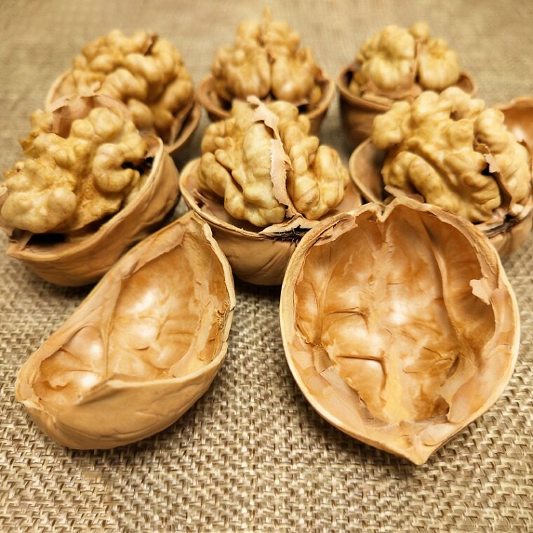 新疆阿克苏温185散装孕5纸皮核桃 上客暖村纸皮/薄皮核桃