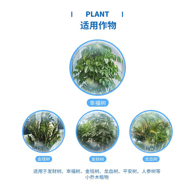 幸福树专用营养液体肥料家用养花盆栽高浓缩氮磷钾复合肥通用型 - 图3