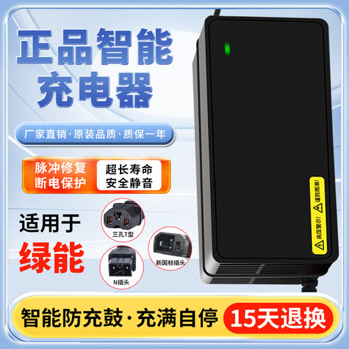 适用绿能原装品质电动车充电器48V12AH60V20AH72V32全新N字头正品 - 图1