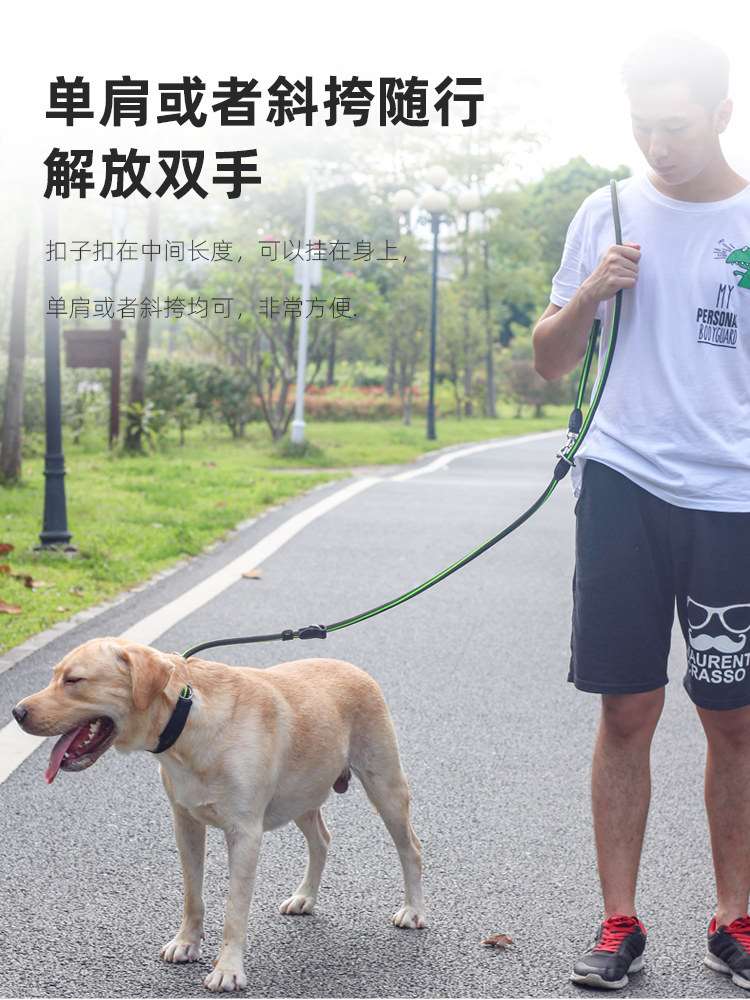 多功能防爆冲训练狗绳p绳p链金毛拉布拉多遛狗绳大型犬训犬牵引绳-图3