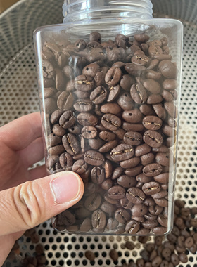 2026年新产打孔咖啡豆 新鲜烘焙 链项链车挂工艺品挂饰diy配件