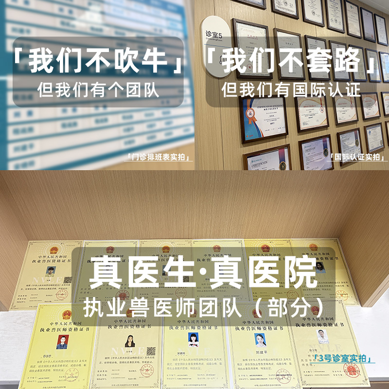 盐酸多西环素鼻支治疗呼吸道猫咪感冒药打喷嚏流鼻涕速诺消炎片猫