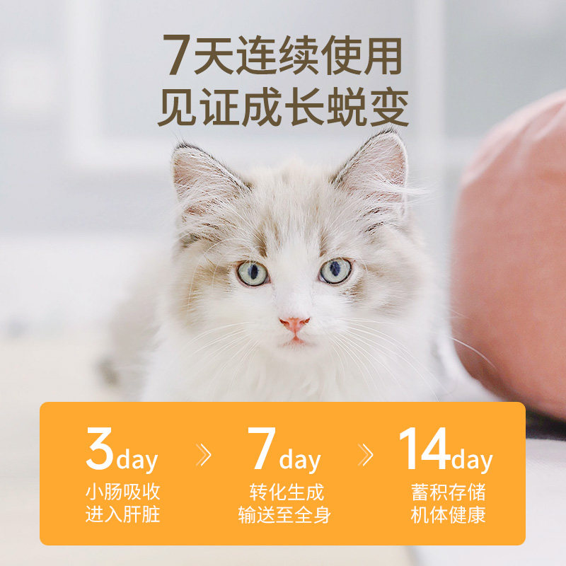 猫咪维生素b增强免疫力猫藓复合溶液幼猫营养膏猫癣用宠物补充剂,淘宝优惠券,粉丝福利购,淘宝优惠卷