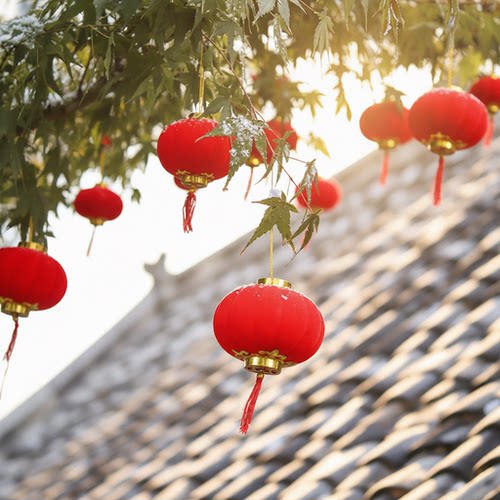 2026年小红灯笼过年庭院植绒红色户外室内灯笼串挂件春节氛围挂饰 - 图0