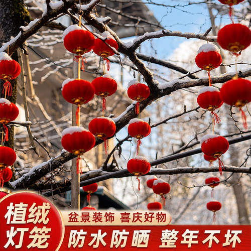 2026年小红灯笼过年庭院植绒红色户外室内灯笼串挂件春节氛围挂饰 - 图2