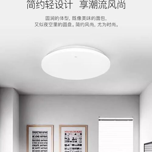 雷士照明led阳台灯圆形卧室灯简约现代吸顶灯走廊过道玄关节能灯 - 图0
