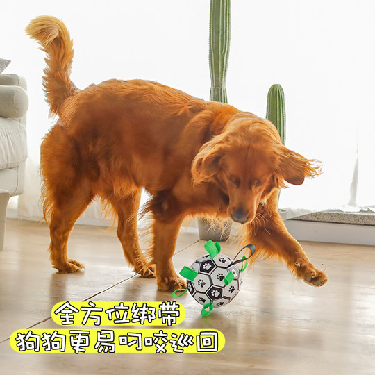 Dog toy ball lychee jam for large and small dogs