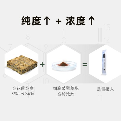 【身材肠道】国奖黑金茶-未来可7高浓缩金花黑茶提取冠突散囊菌 - 图2