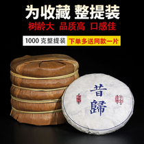 A dozen steps from 9 alleyways tea 2019 Busy Foothills Mountain Head Spring Pu-erh Tea Raw Tea 200 gr Cake Tea Whole Ati