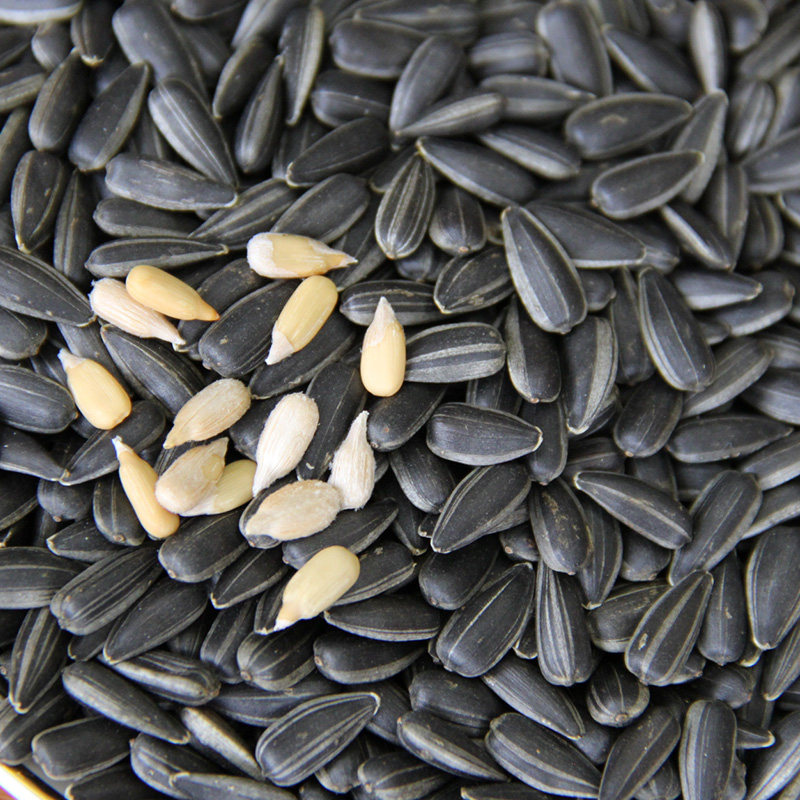 油葵黑珍珠500g小2斤新鲜油葵花籽 秋乡食品瓜子