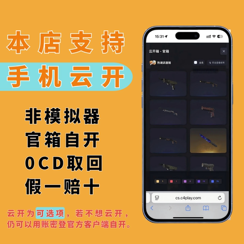 【现货秒发】CS2画廊钥匙带箱子武器箱可云开官箱自开csgo大Z大 - 图0