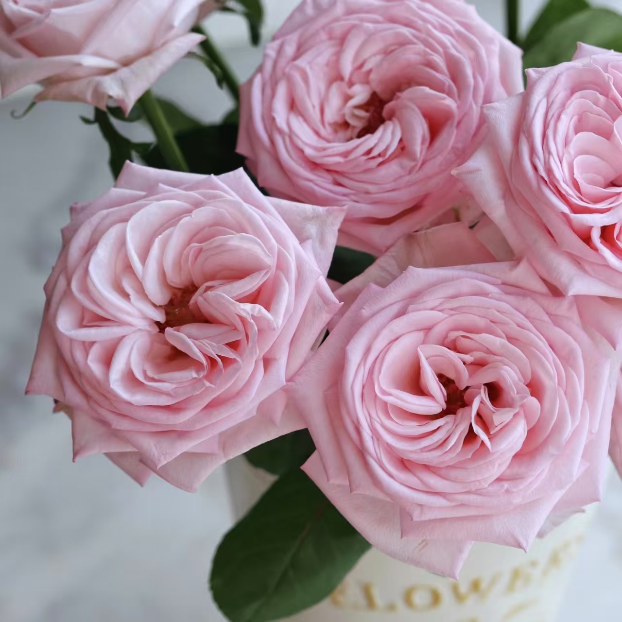 Aa级粉荔枝玫瑰花云南鲜花基地直发家用水养插花束教师节中秋顺丰 - 图1