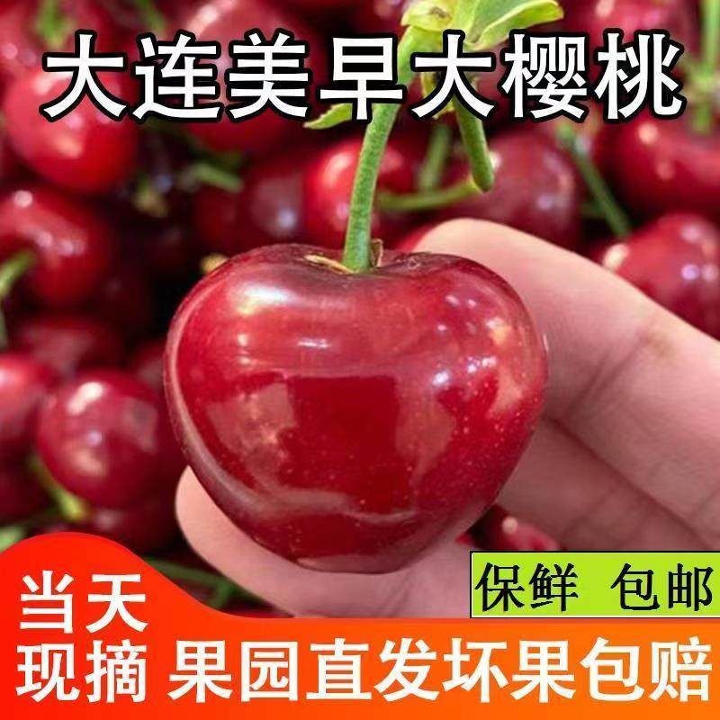 [48小时发货]现货美早大樱桃几口车厘子4j现摘新鲜孕妇水果包邮,淘宝优惠券,粉丝福利购,淘宝优惠卷
