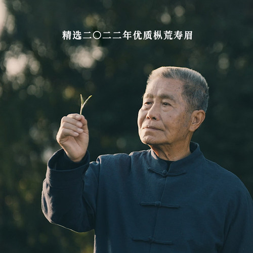 梅相靖大师白茶海丝之路一级枞荒寿眉2022年福鼎白茶散茶5斤装 - 图1