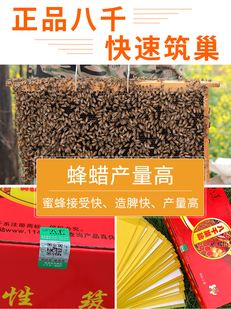 中蜂巢础八千正品蜜蜂巢础片巢基蜂巢蜂蜡中峰深房巢皮35片送木片