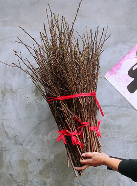 东南桃花枝镇家宅随身平安桃木枝
