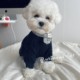 Autumn and winter lazy sweater dog clothes Korean version ins cat pet clothing Teddy Bichon Pomeranian to keep feet warm