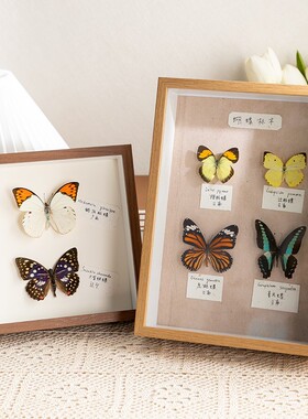 中空相框摆台手工diy真蝴蝶植物昆虫标本盒立体框架展示框画框架