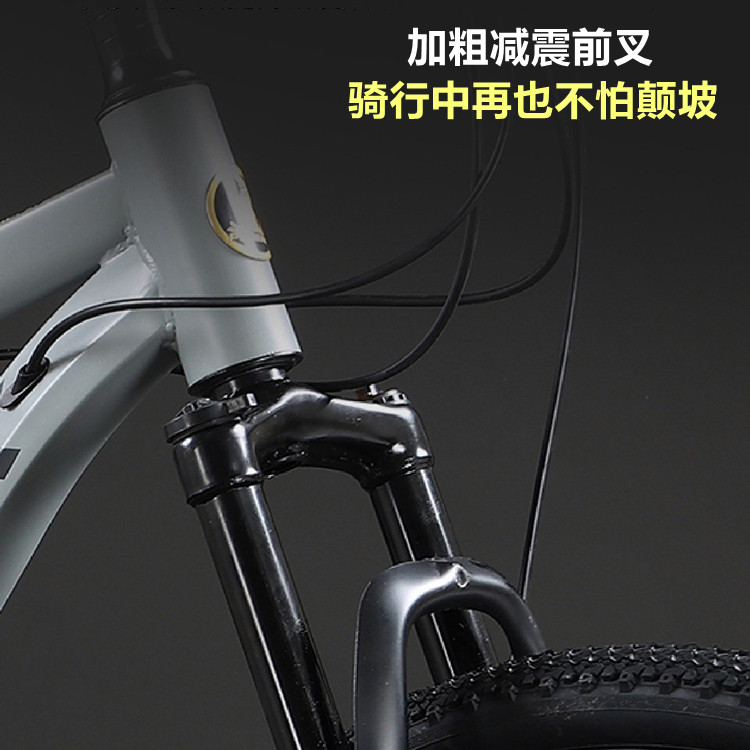 凤凰牌男女式新型山地自行车赛车 phoenix凤凰林宇山地自行车