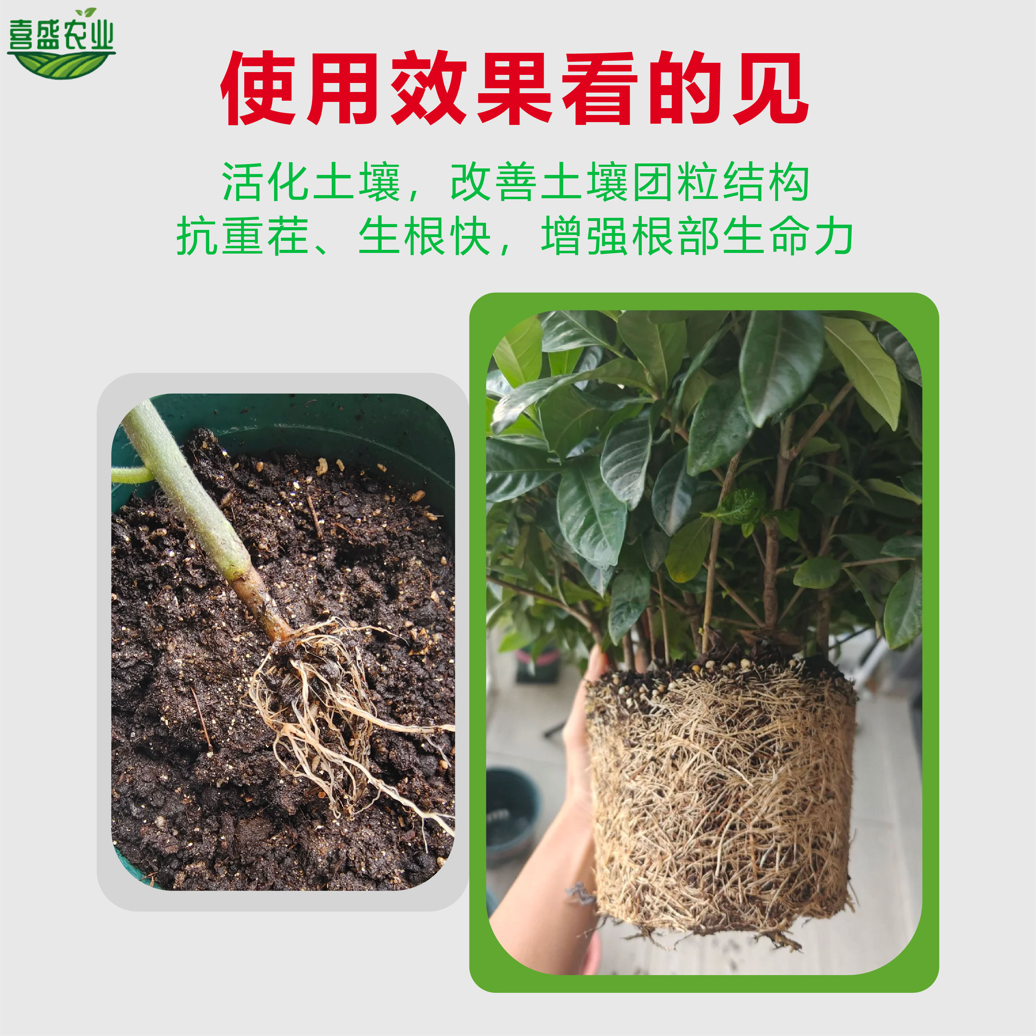 猛生根原液生根壮苗剂生根液植物通用型营养液蔬菜花卉果树水溶肥,淘宝优惠券,粉丝福利购,淘宝优惠卷